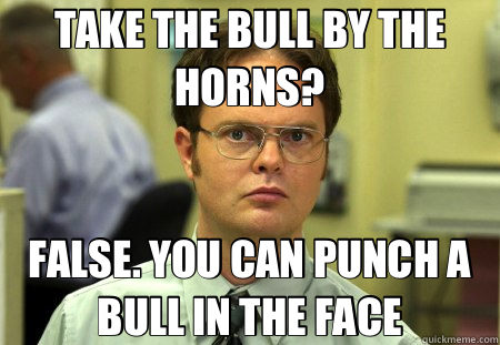 TAKE THE BULL BY THE HORNS? FALSE. YOU CAN PUNCH A BULL IN THE FACE - TAKE THE BULL BY THE HORNS? FALSE. YOU CAN PUNCH A BULL IN THE FACE  Schrute