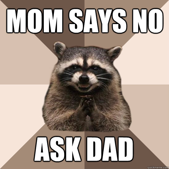 mom says no ask dad  Evil Plotting Raccoon