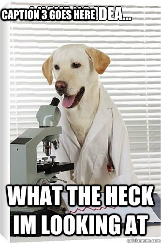 I have no idea... what the heck im looking at Caption 3 goes here  Microscope Dog