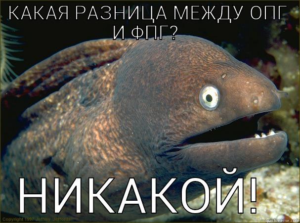 КАКАЯ РАЗНИЦА МЕЖДУ ОПГ И ФПГ?  НИКАКОЙ!  Bad Joke Eel