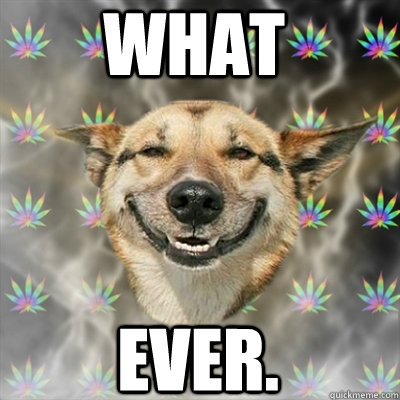 WHAT EVER.  Stoner Dog