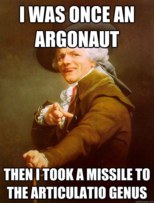 I was once an argonaut Then I took a missile to the articulatio genus  Joseph Ducreux