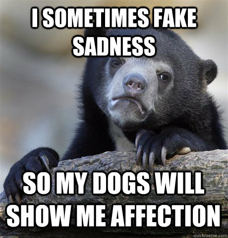 i sometimes fake sadness  So my dogs will show me affection  - i sometimes fake sadness  So my dogs will show me affection   Confession Bear