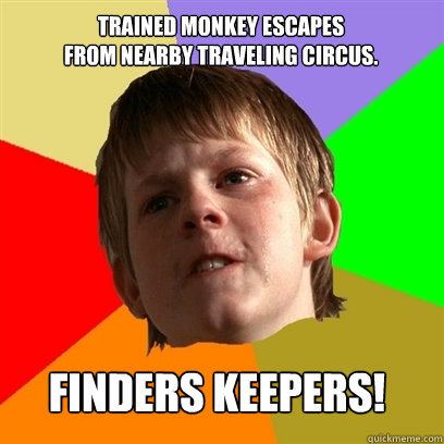 trained monkey escapes
from nearby traveling circus. finders keepers!  Angry School Boy