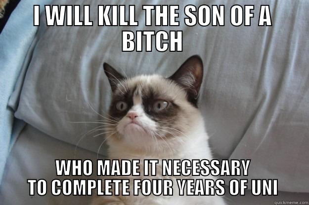 I WILL KILL THE SON OF A BITCH WHO MADE IT NECESSARY TO COMPLETE FOUR YEARS OF UNI Grumpy Cat