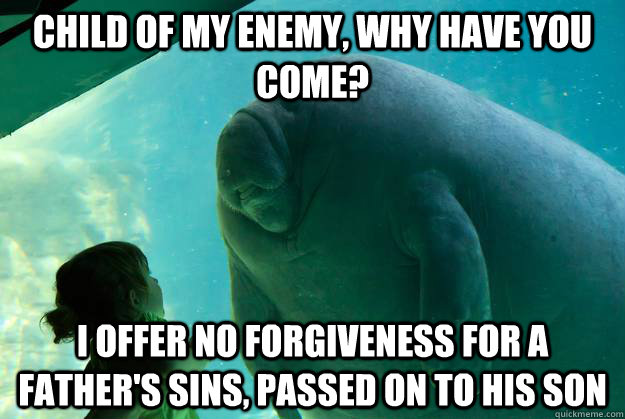 Child of my enemy, why have you come? I offer no forgiveness for a father's sins, passed on to his son  Overlord Manatee