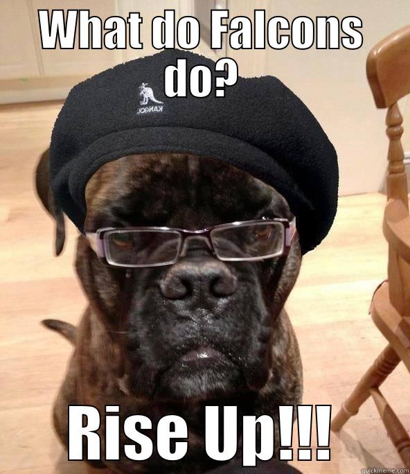 My Dog, Sam Jackson - WHAT DO FALCONS DO? RISE UP!!! Misc