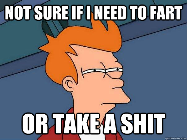 Not sure if I need to fart Or take a shit  Futurama Fry