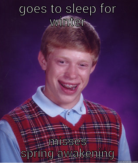 GOES TO SLEEP FOR WINTER MISSES SPRING AWAKENING Bad Luck Brian