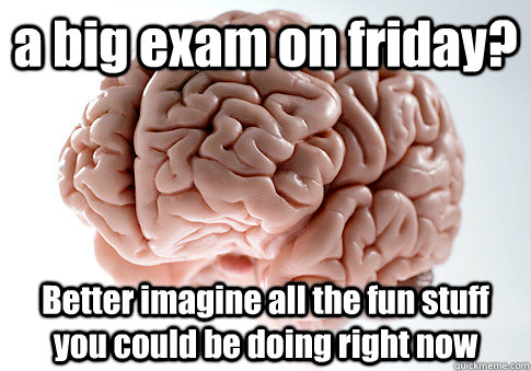 a big exam on friday? Better imagine all the fun stuff you could be doing right now  Scumbag Brain