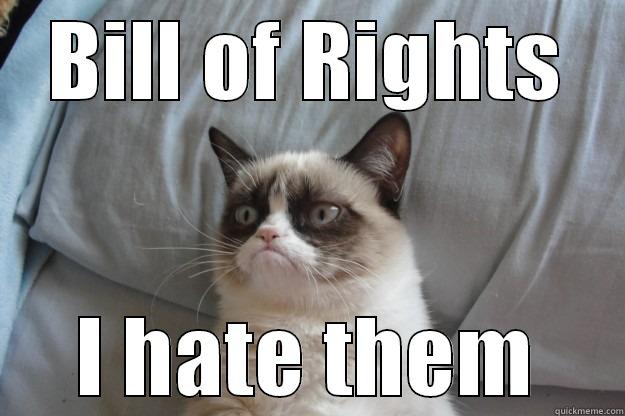 American Politics - BILL OF RIGHTS I HATE THEM Grumpy Cat