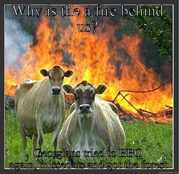 WHY IS THE A FIRE BEHIND US? GEORGIANS TRIED TO BBQ AGAIN, MISSED US AND GOT THE FOREST Evil cows