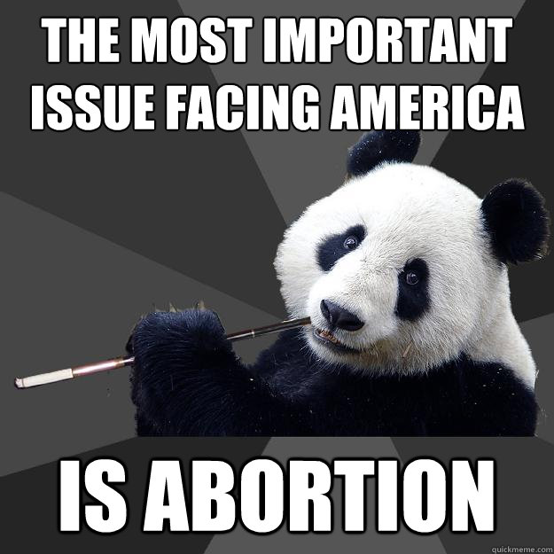 THE MOST IMPORTANT ISSUE FACING AMERICA IS ABORTION  Propapanda