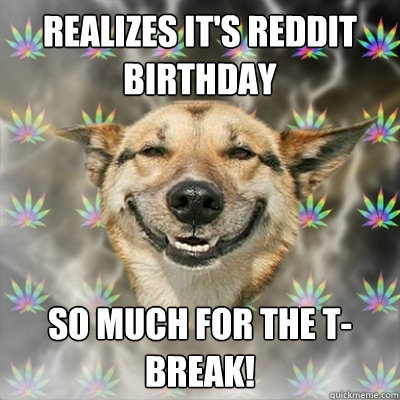 realizes it's reddit birthday so much for the t-break!  Stoner Dog