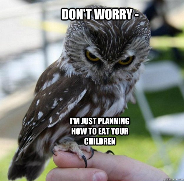 funny owl memes