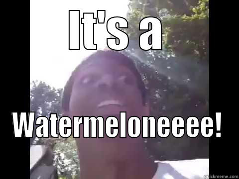 It's a watermelone! - IT'S A WATERMELONEEEE! Misc