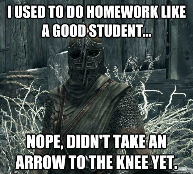 I used to do homework like a good student... Nope, didn't take an arrow to the knee yet. - I used to do homework like a good student... Nope, didn't take an arrow to the knee yet.  Skyrim Guard