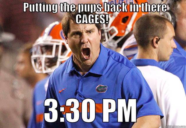 Gators vs bulldogs -    PUTTING THE PUPS BACK IN THERE CAGES! 3:30 PM Misc