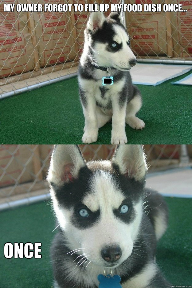 My owner forgot to fill up my food dish once... once  Insanity puppy