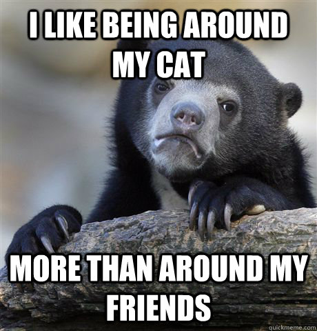 I like being around my cat more than around my friends  Confession Bear