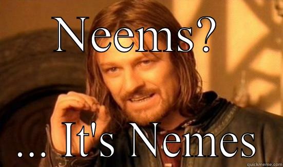 Keepin it Nemes - NEEMS? ... IT'S NEMES Boromir