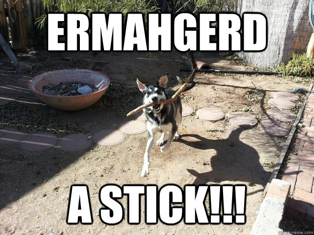 Ermahgerd A Stick!!! - Ermahgerd A Stick!!!  Its all about the simple joys in life