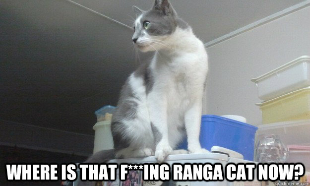  Where is that F***ing ranga cat now? -  Where is that F***ing ranga cat now?  Cliffy