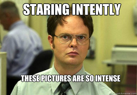 Staring Intently These pictures are so intense - Staring Intently These pictures are so intense  Schrute