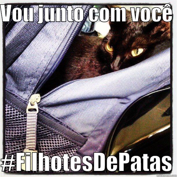 VOU JUNTO COM VOCÊ   #FILHOTESDEPATAS Misc