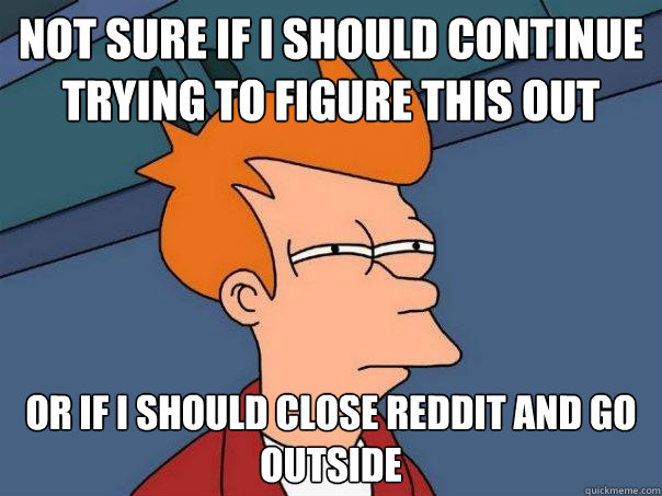 Not sure if I should continue trying to figure this out Or if I should close Reddit and go outside  Futurama Fry