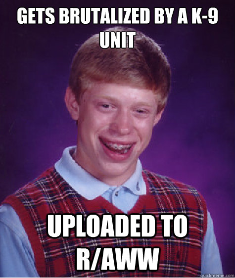 gets brutalized by a k-9 unit uploaded to r/aww  Bad Luck Brian