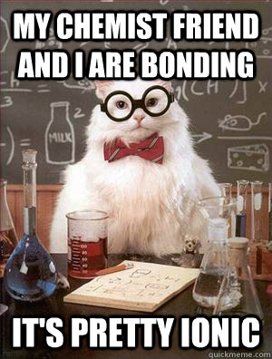 My chemist friend and i are bonding it's pretty ionic  Chemistry Cat