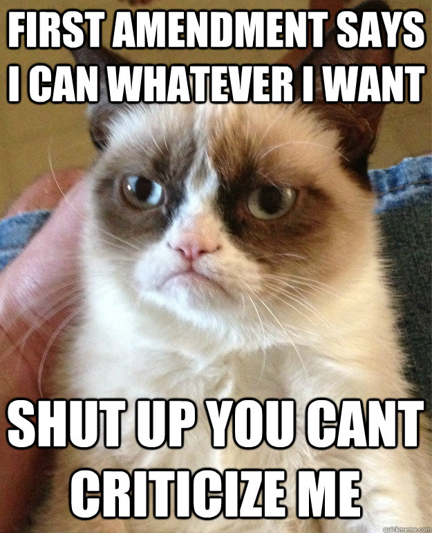 First amendment says i can whatever i want shut up you cant criticize me  Grumpy Cat