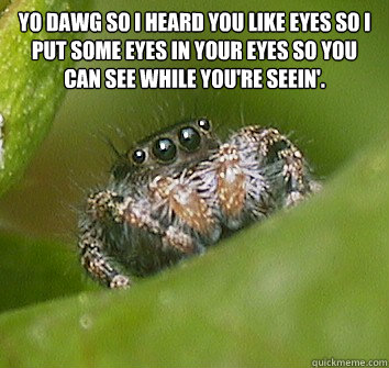 Yo dawg so I heard you like eyes so I put some eyes in your eyes so you can see while you're seein'.   Misunderstood Spider