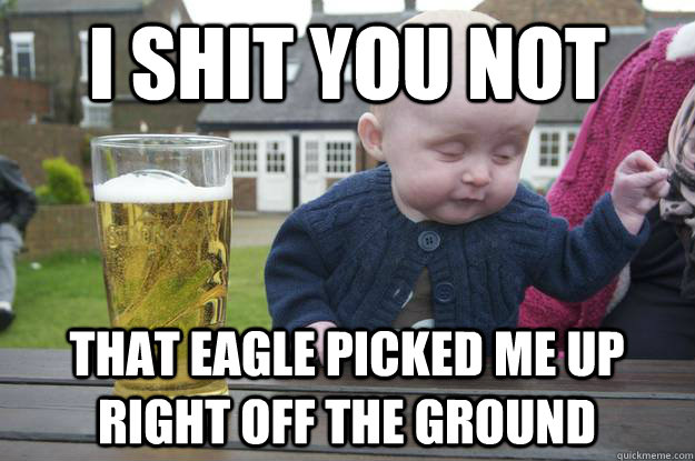 I shit you not  That eagle picked me up right off the ground  drunk baby