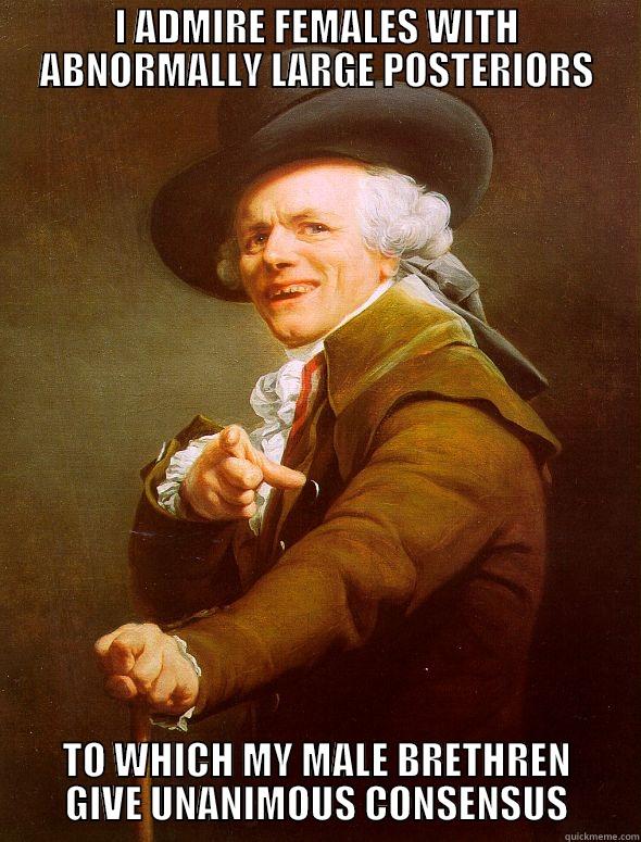 I ADMIRE FEMALES WITH ABNORMALLY LARGE POSTERIORS TO WHICH MY MALE BRETHREN GIVE UNANIMOUS CONSENSUS Joseph Ducreux