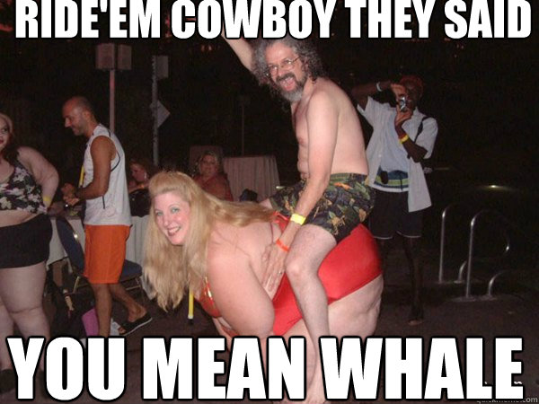 ride'em cowboy they said you mean whale  