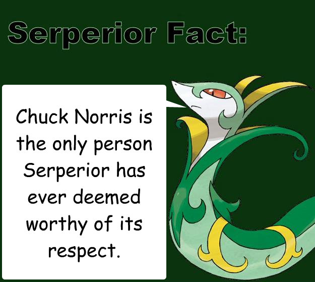 Chuck Norris is the only person Serperior has ever deemed worthy of its respect.  Serperior Facts