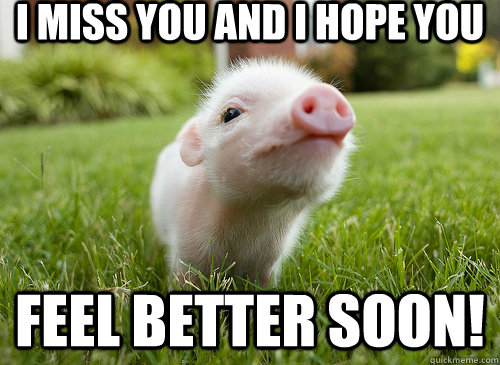 I miss you and I hope you Feel Better Soon!  baby pig
