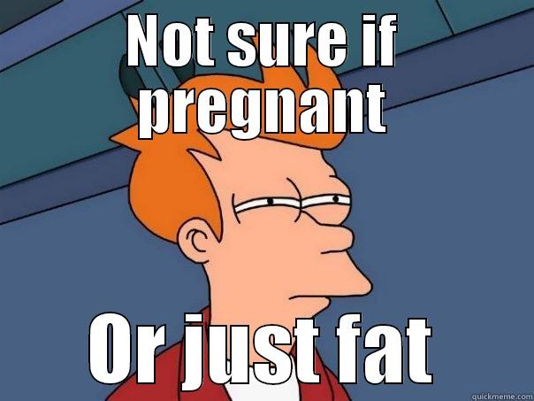 NOT SURE IF PREGNANT OR JUST FAT Futurama Fry