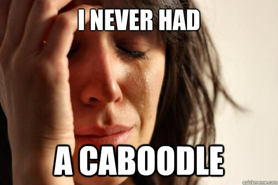 I never had a caboodle  First World Problems