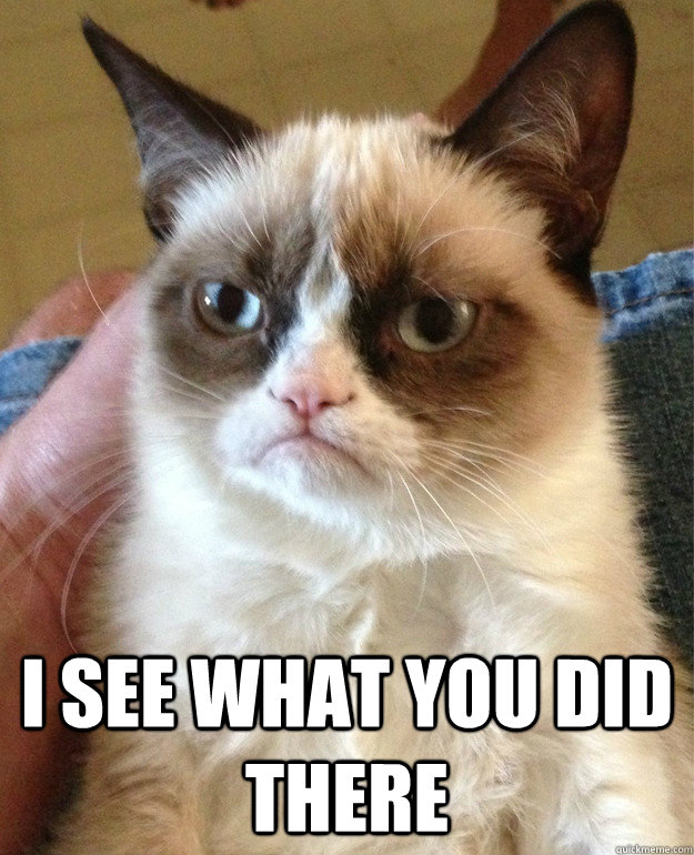  i see what you did there  Grumpy Cat