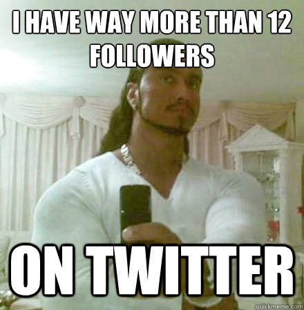 I have way more than 12 followers on twitter - I have way more than 12 followers on twitter  Guido Jesus