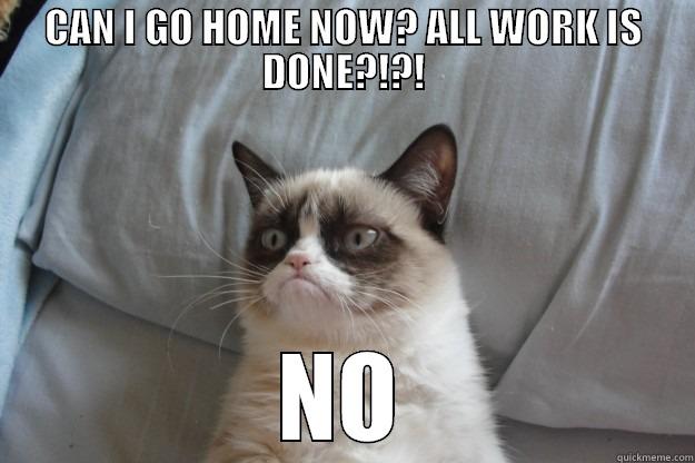 NO HOME FOR U - CAN I GO HOME NOW? ALL WORK IS DONE?!?! NO Grumpy Cat