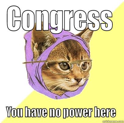 CONGRESS YOU HAVE NO POWER HERE Hipster Kitty