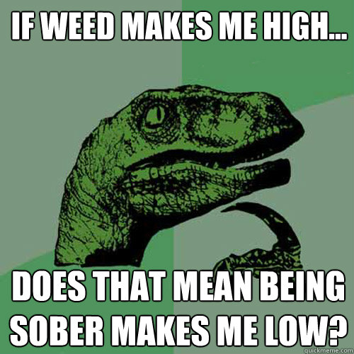 If weed makes me high... Does that mean being sober makes me low?  Philosoraptor