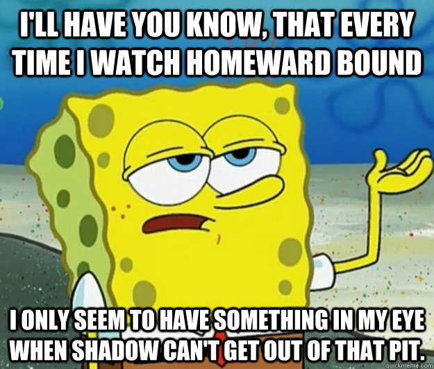 I'll have you know, that every time I watch Homeward Bound I only seem to have something in my eye when Shadow can't get out of that pit. - I'll have you know, that every time I watch Homeward Bound I only seem to have something in my eye when Shadow can't get out of that pit.  Tough Spongebob