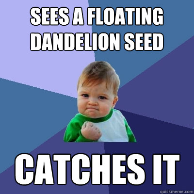 Sees a floating dandelion seed Catches it  Success Kid