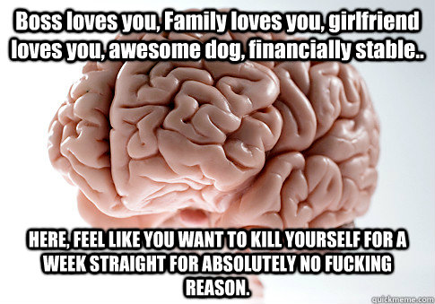 Boss loves you, Family loves you, girlfriend loves you, awesome dog, financially stable.. HERE, FEEL LIKE YOU WANT TO KILL YOURSELF FOR A WEEK STRAIGHT FOR ABSOLUTELY NO FUCKING REASON.  Scumbag Brain