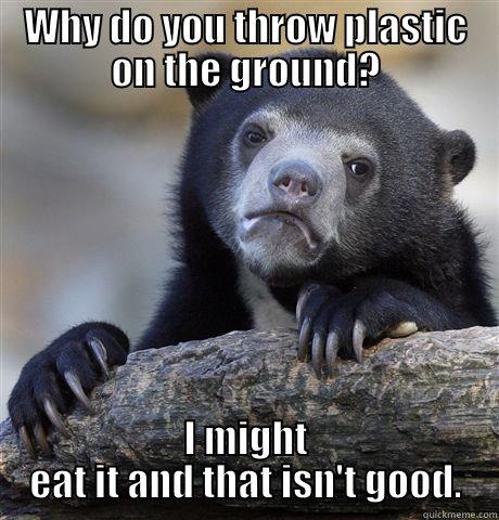 WHY DO YOU THROW PLASTIC ON THE GROUND? I MIGHT EAT IT AND THAT ISN'T GOOD. Confession Bear